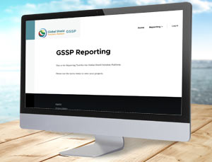 GSSP Reporting